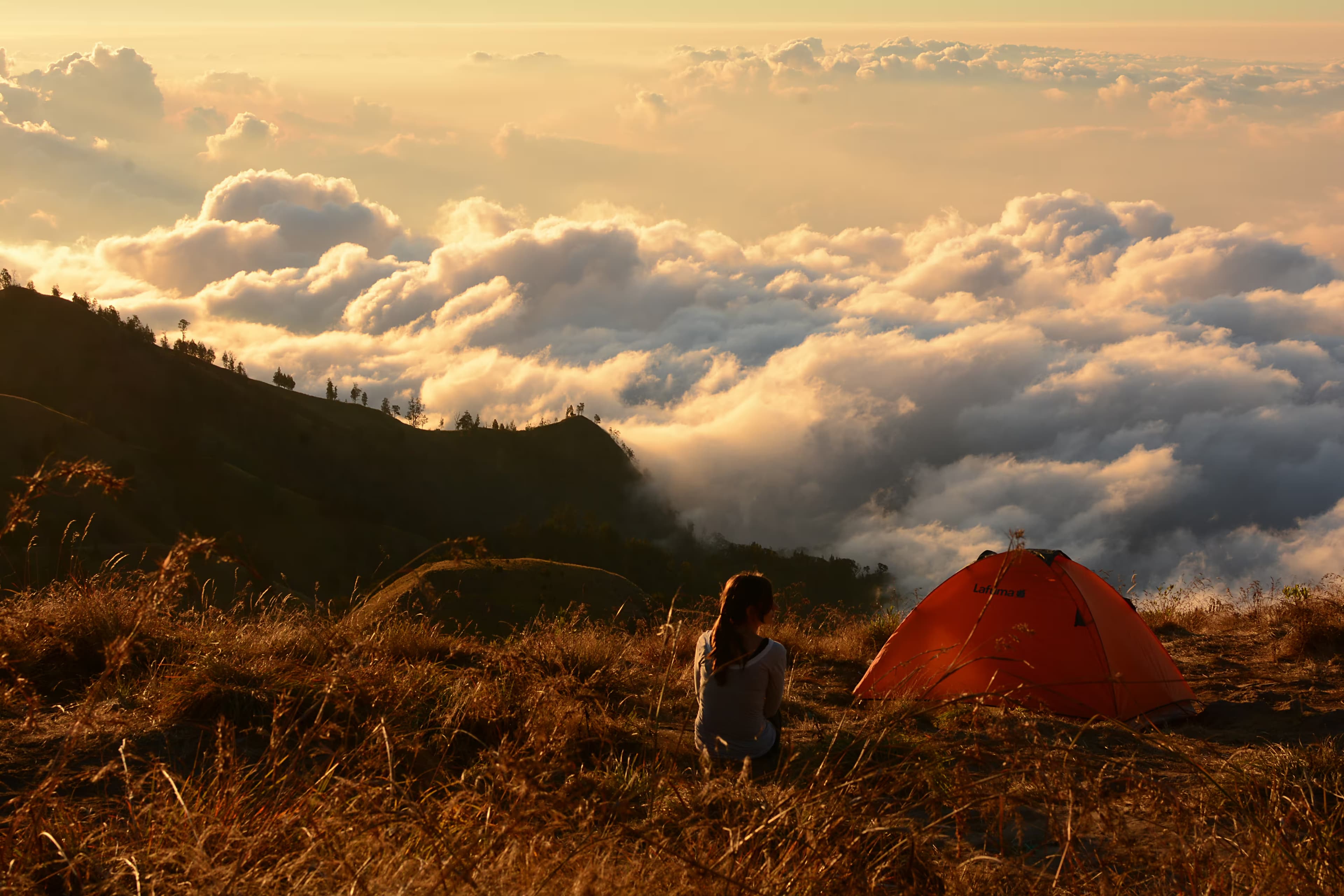 Camp Above the Clouds