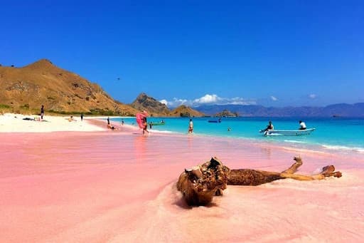 Visit Lombok Pink Beach